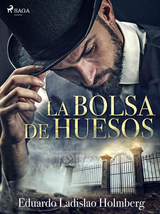 Title details for La bolsa de huesos by Eduardo Ladislao Holmberg - Available